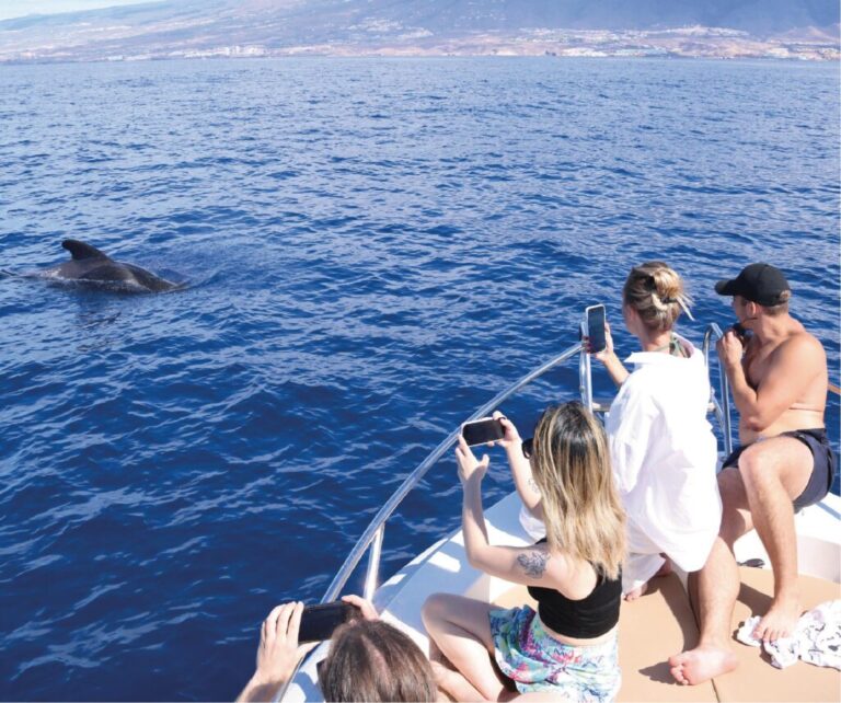 Whale Watching Experience – 2 hours