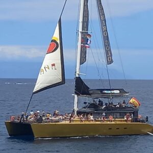 catamaran 3 hrs – Adult