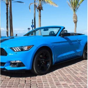 mustang tour 2 pax