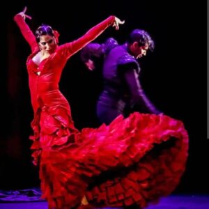 flamenco show +bus