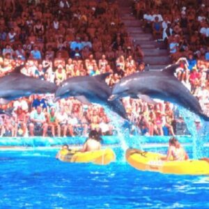 Aqualand Costa kids