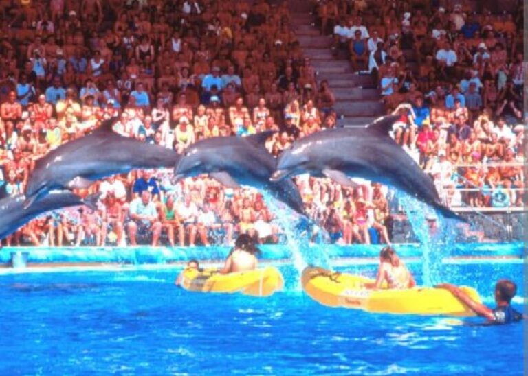 Aqualand Costa kids