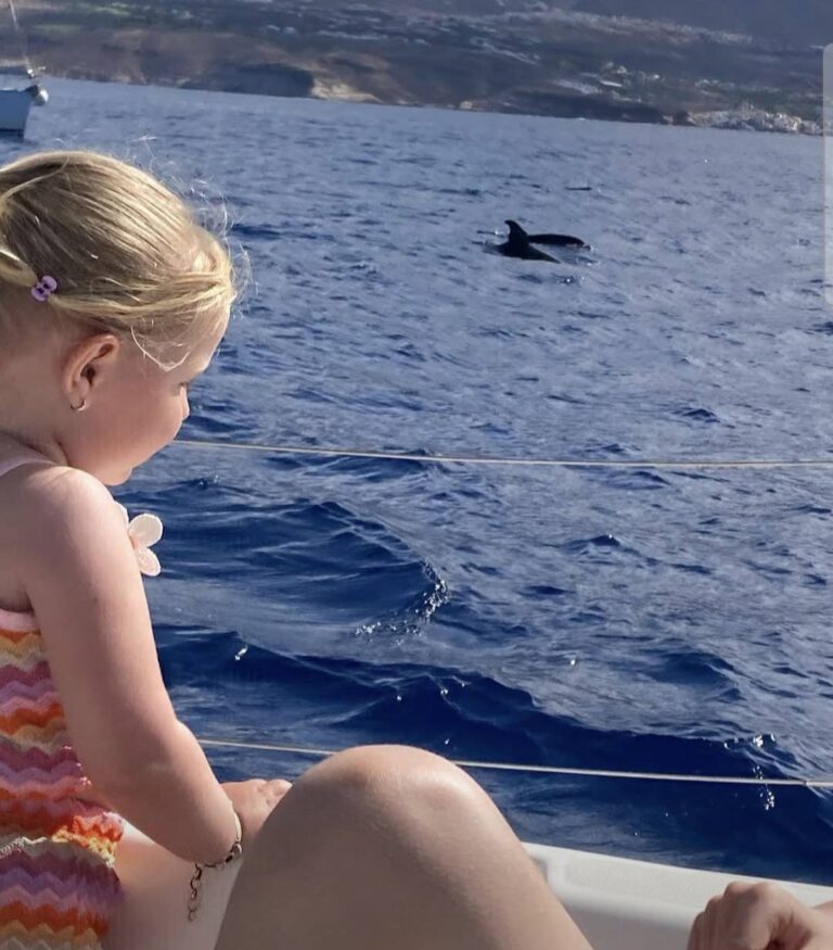 Whale Watching Tenerife