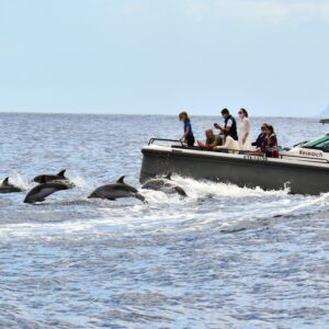 catamaran eco tour kids