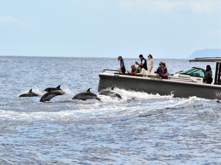 catamaran eco tour kids