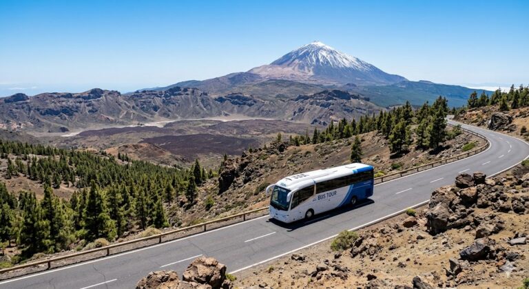 teide icod garachico masca – Adult