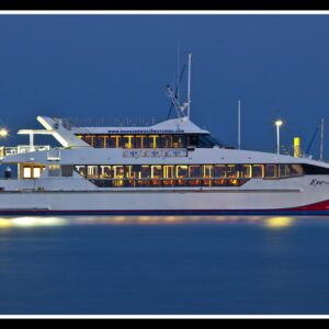Sea Safari Dolphins & Whales