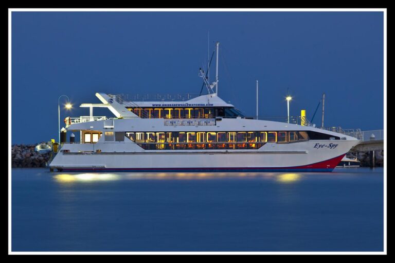 Sea Safari Dolphins & Whales