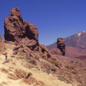 teide by bus (jan promo) – Child
