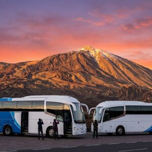 teide by bus (jan promo) – Adult