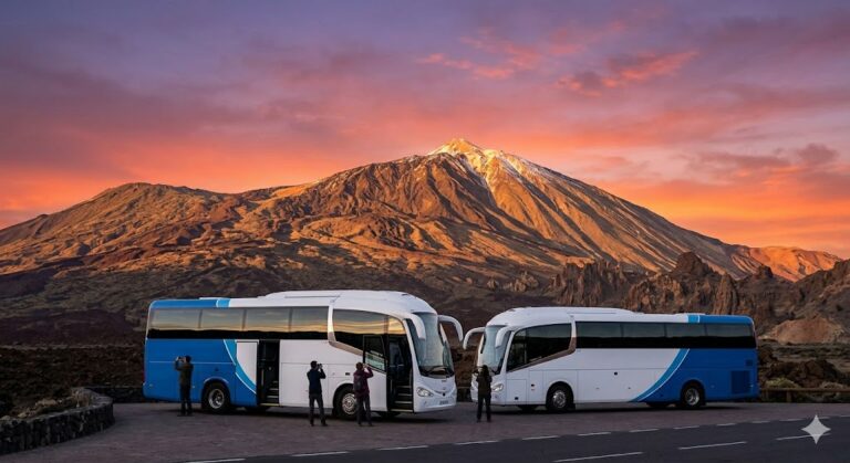 teide by bus (jan promo) – Adult