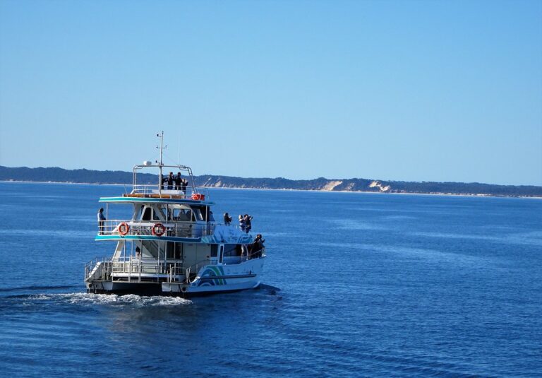 Whale and Dolphin Watching Catamaran Tour