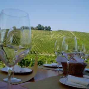 wine tasting tour
