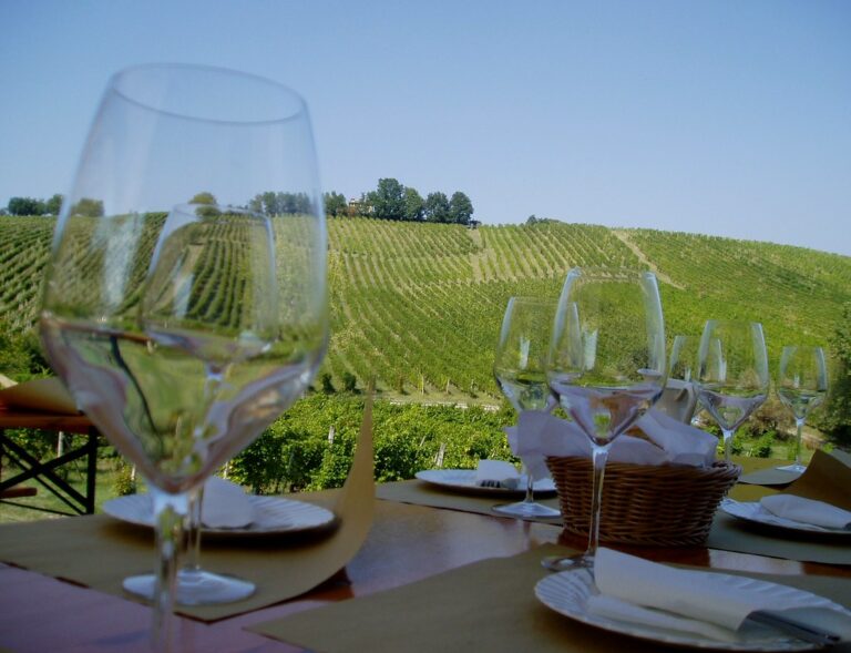 wine tasting tour