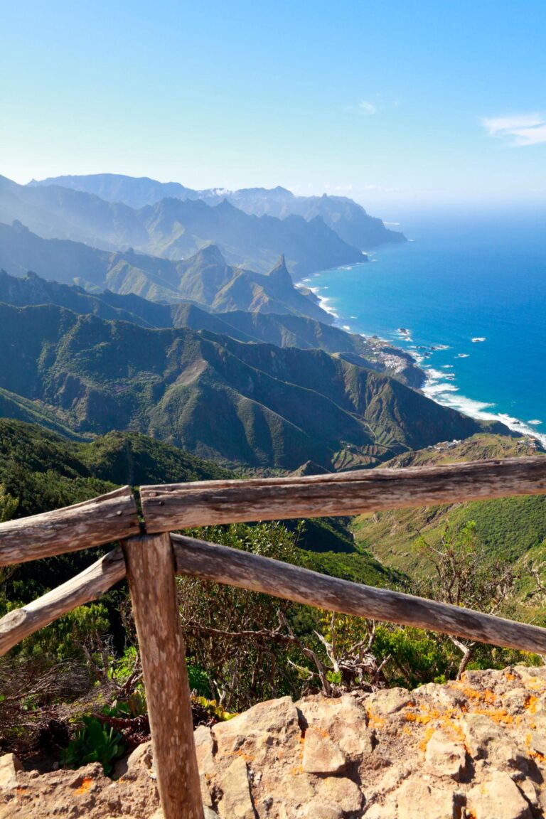 Santa Cruz, La Laguna & Anaga Forest, Day Tour