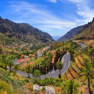 La Gomera Day Tour from South (Finnish Guided)